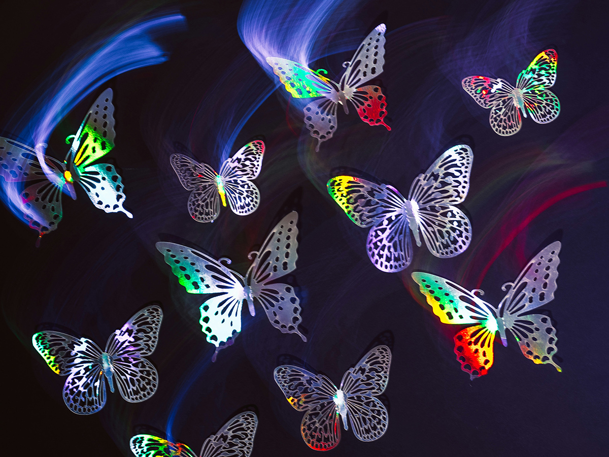 adhd butterfly
